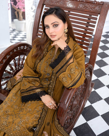 Mah E Noor by Aalaya Winter Vol 01 '25 D 06